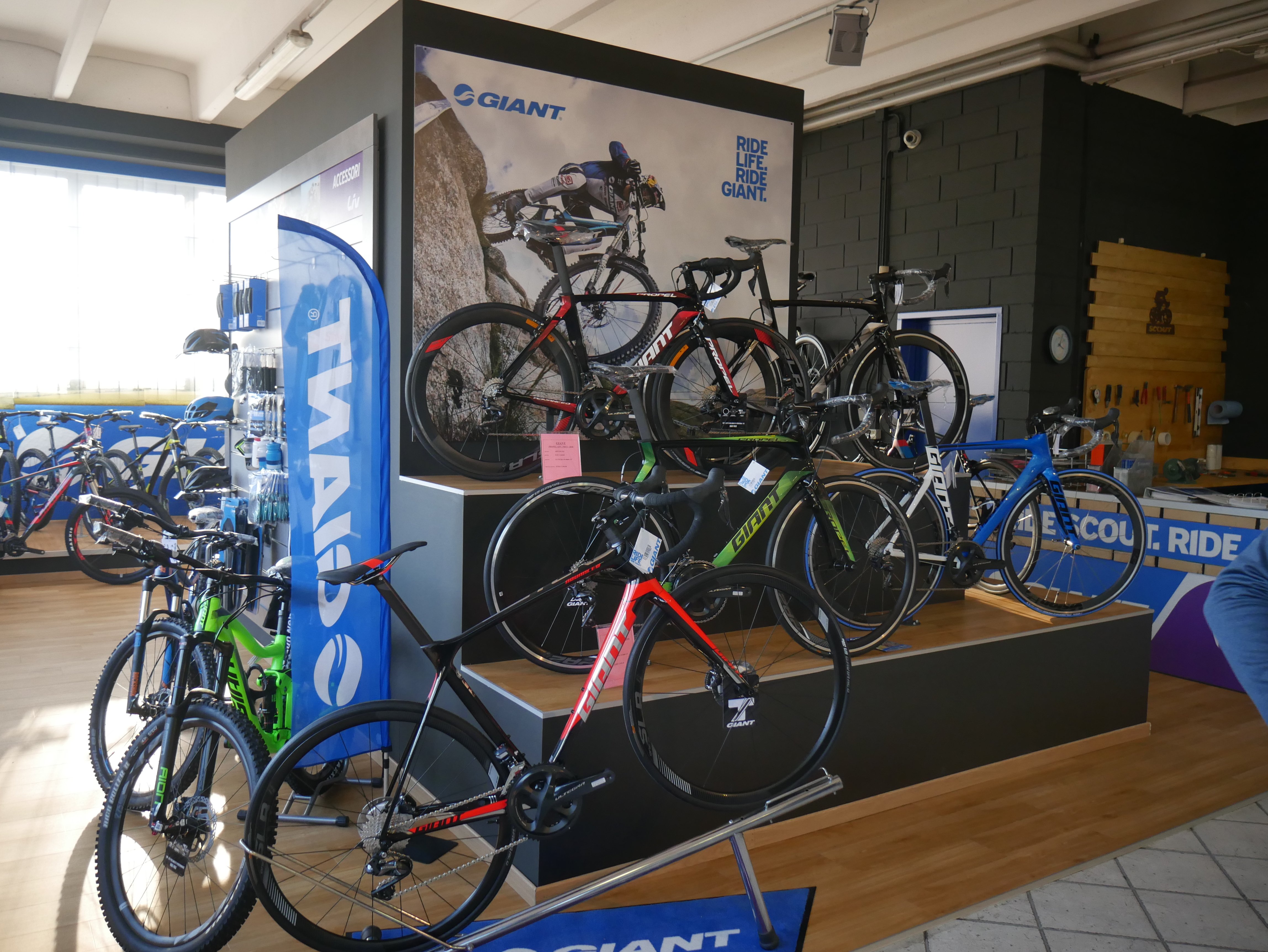 Punto Vendita Scout Bike Milano Vendita Bici Lainate